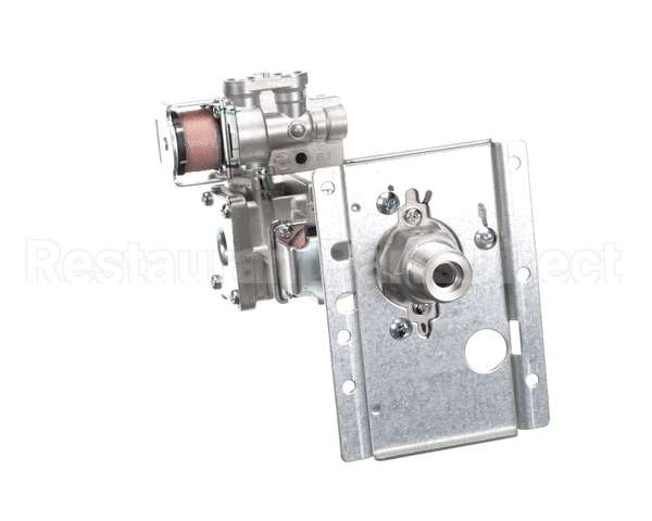 206000022 Rinnai Gas Control Assy A Es38