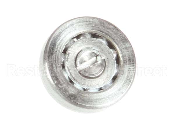 2100195 Antunes Bearing, Roller S/S