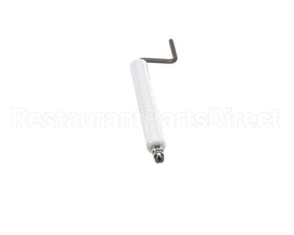 21200167 Gemini Electrode Assembly