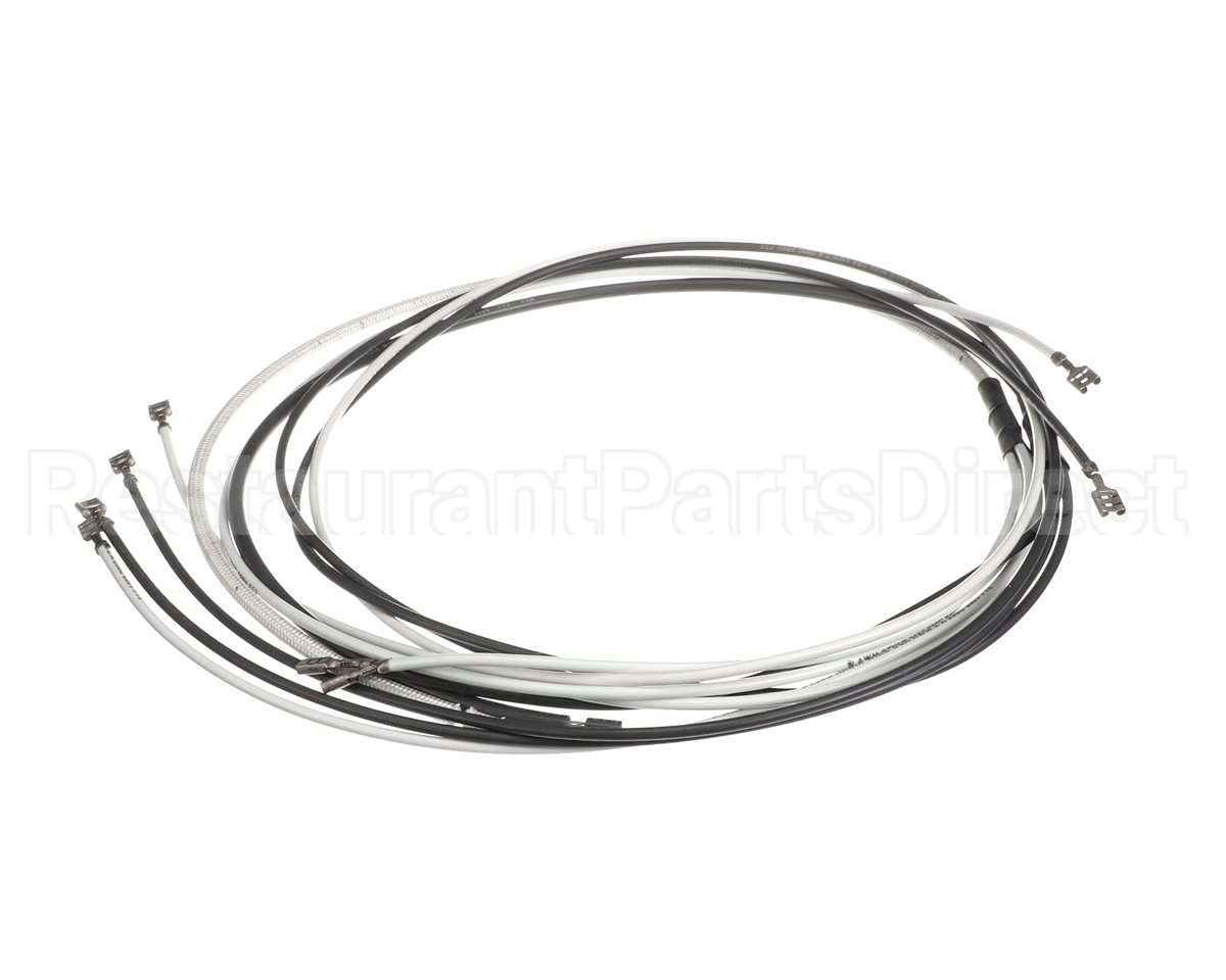 212616 Duke Harness, Wire 4 Sec 120V 1-#21