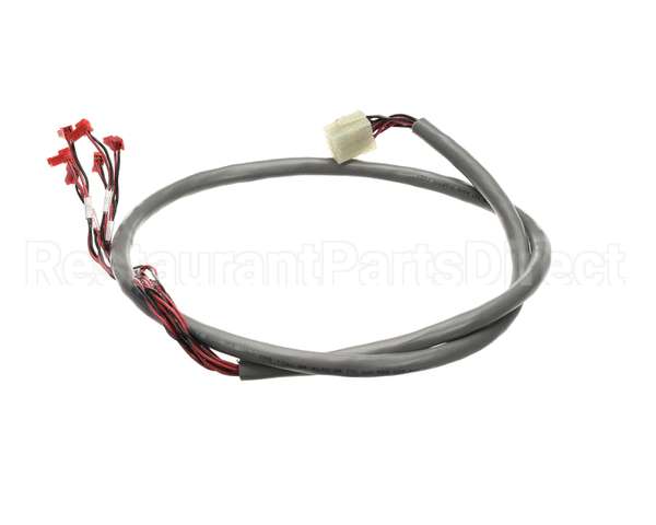 218809 Duke Harness, Wire Hdc Display/Rtd