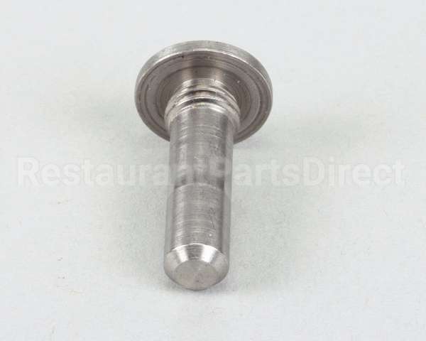 22415P Silver King Pin Hinge