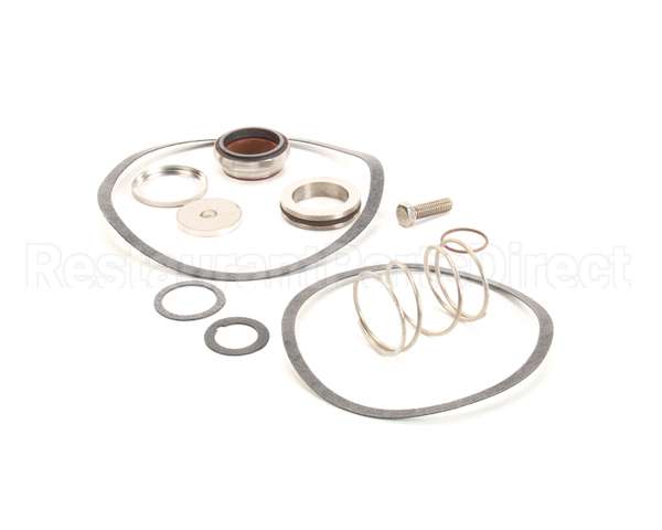 24463 Power Soak Systems Pump Seal Kit - Worthington (
