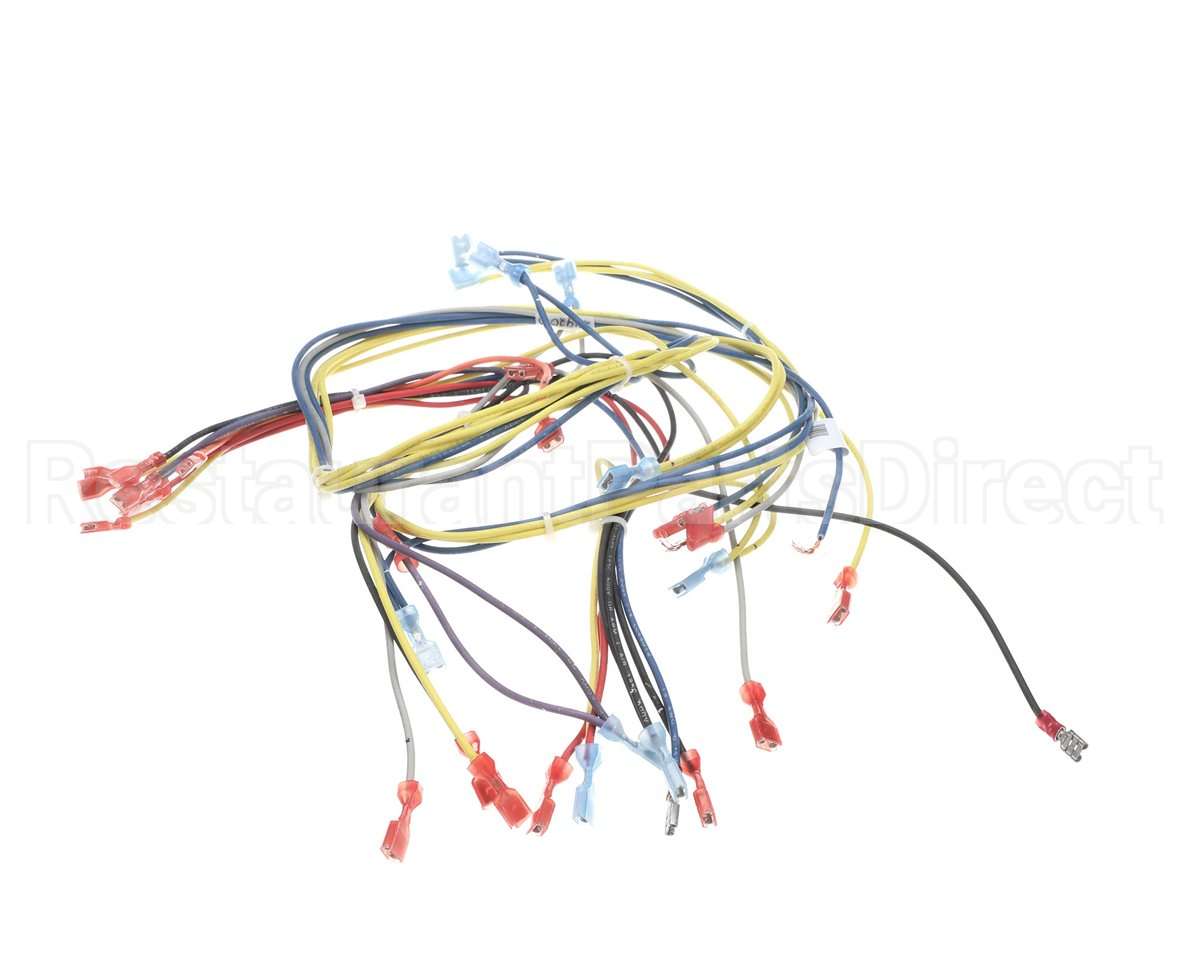 24920 Blodgett Harness,Wiring