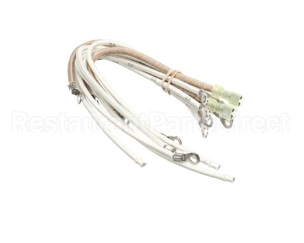 2E-307324 Wells Harness Heater Wire Set,M4200