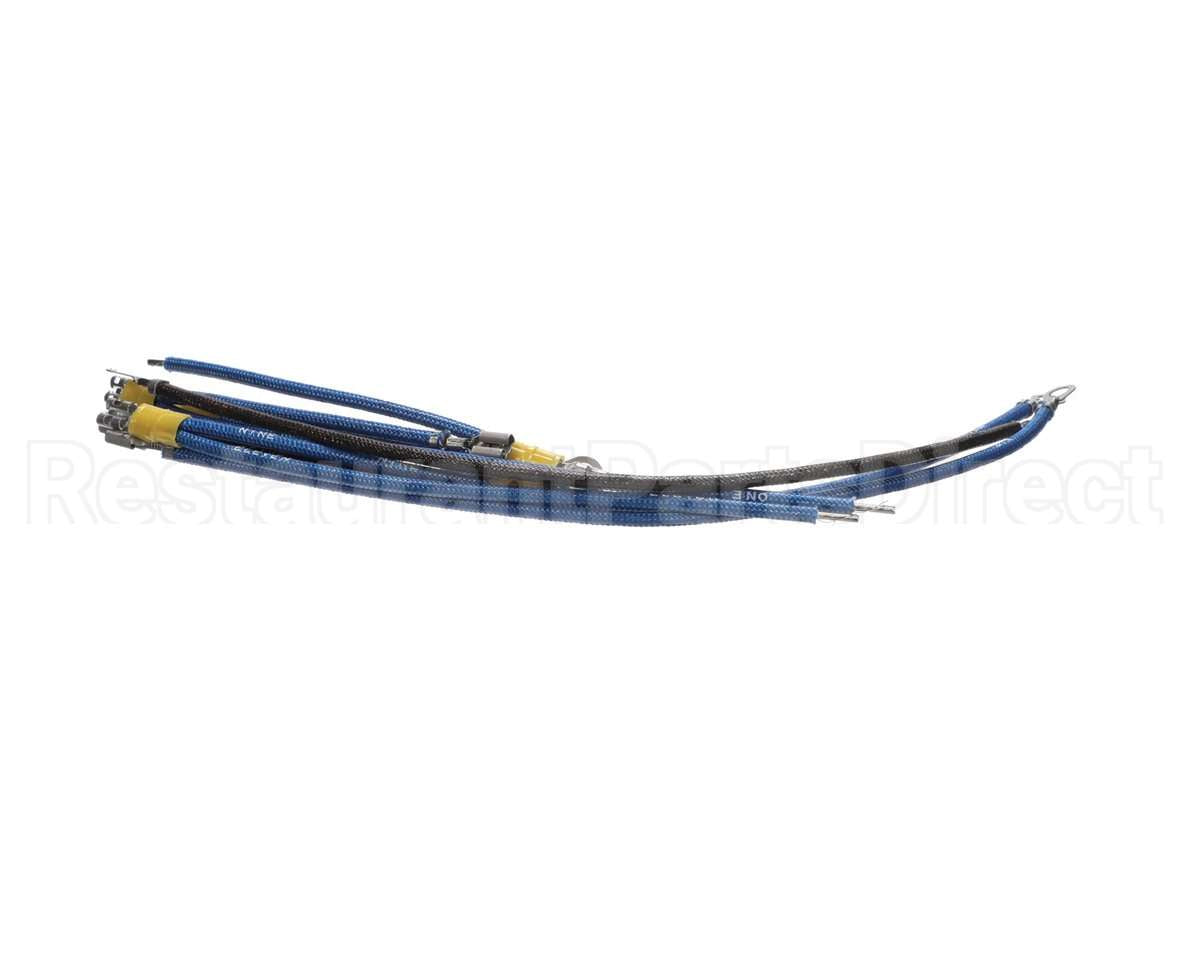 2E-93300037 Apw Wyott Wire Set, At-Express-1, 120V,