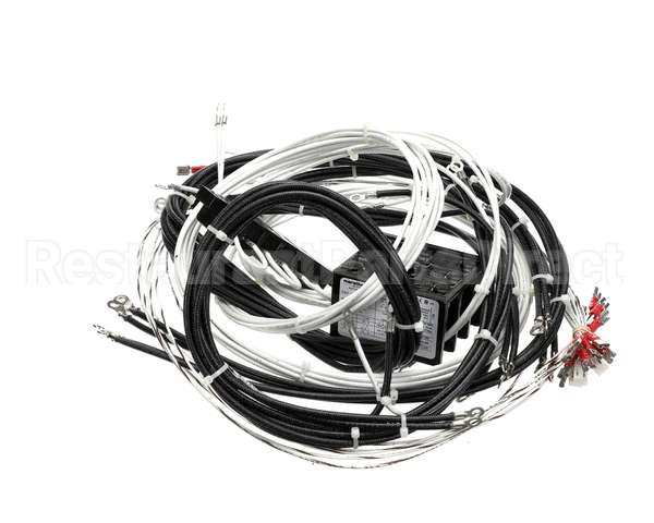 2E-XL-577 Lang Harness Element Slct 208/240V