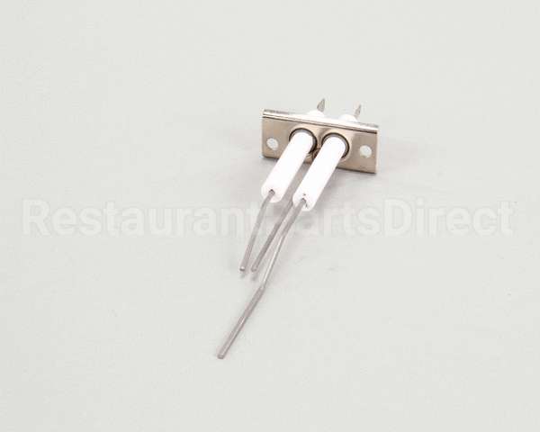 2J-80302-05 Lang Dsi Electrode Assembly