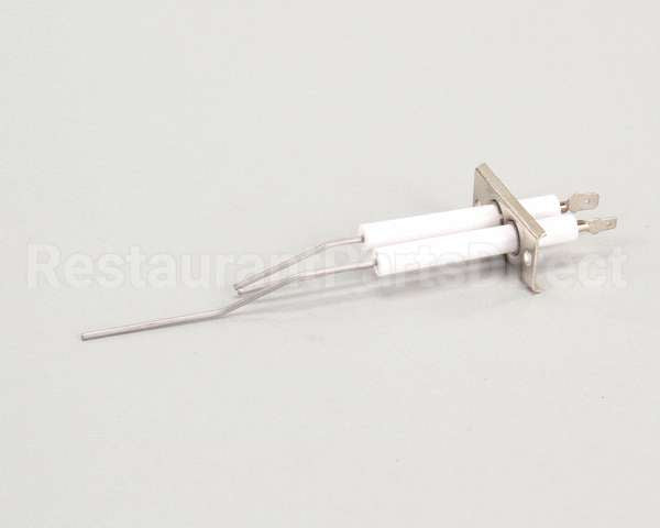 2J-80302-05 Lang Dsi Electrode Assembly