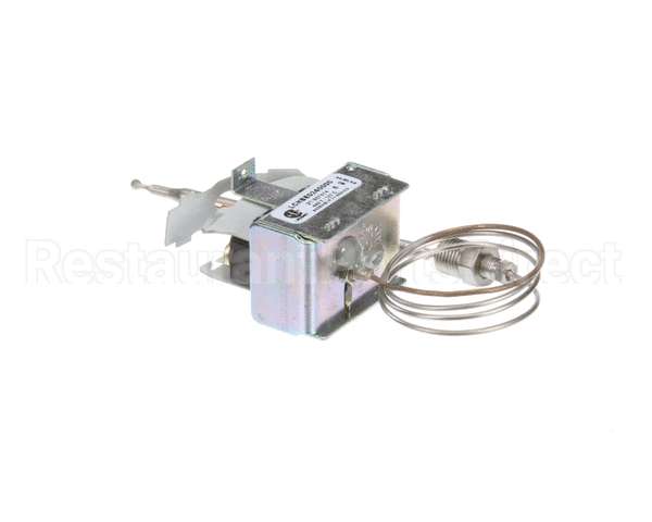 2T-307574 Wells Thermo Saf Man Reset Stnd