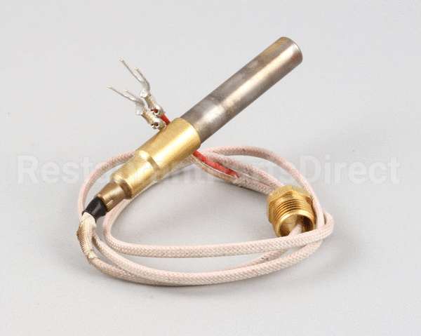 2T-42195 Wells Thermopile Fgs-40