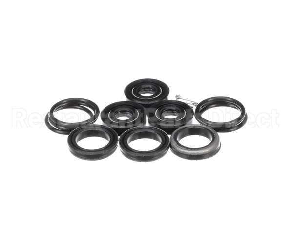 300-3603 Spray Master Seal Kit, Pump 2.2 & 2.9 Gpm, Cat