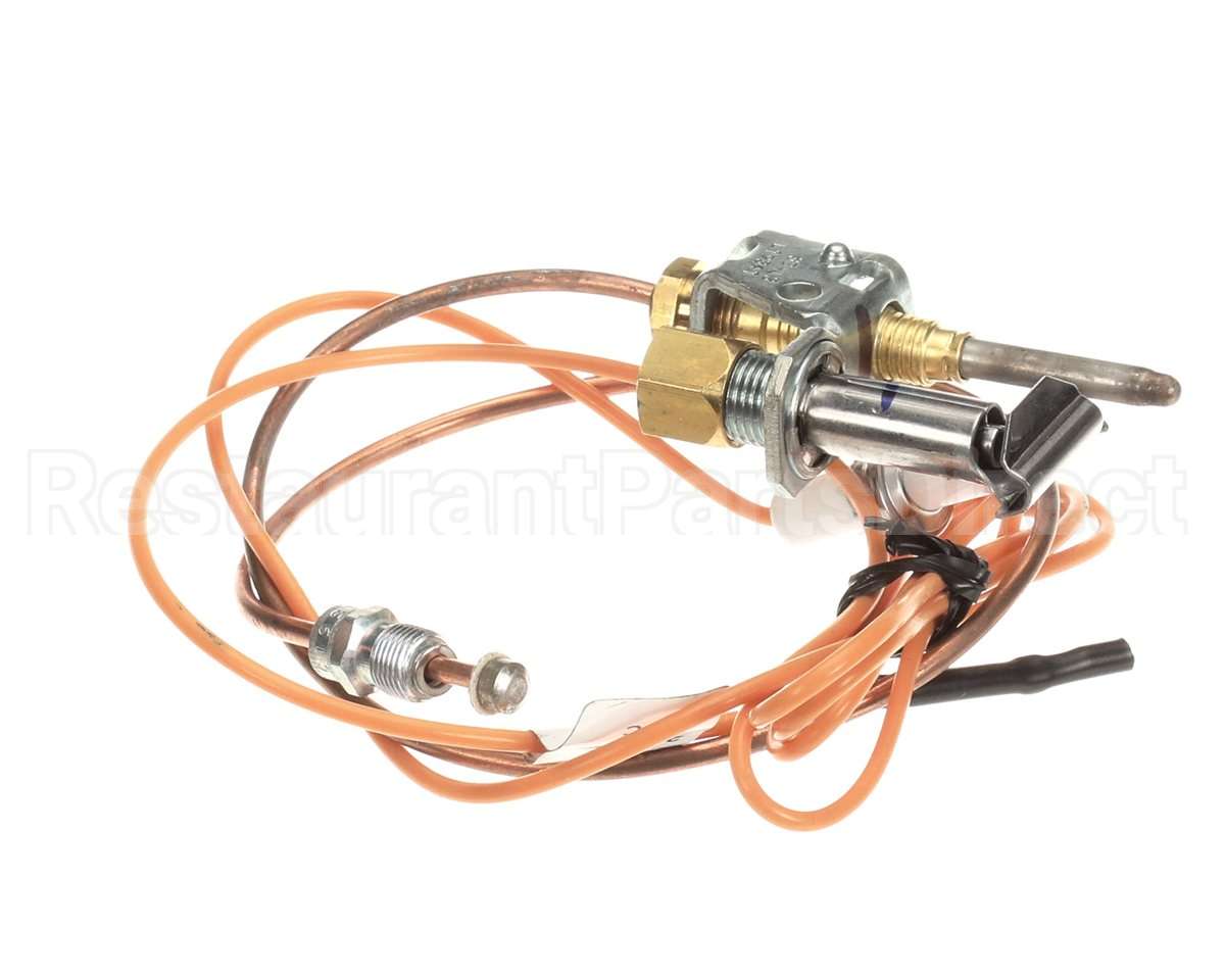 3000014113 Jade Pilot W/Elect&Thermo Assy