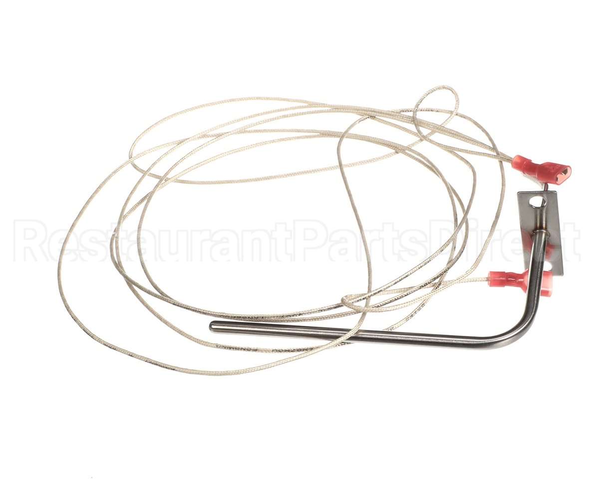 305990008 Atosa Temp Probe