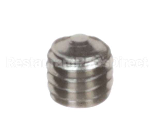 3371009047 Schaerer Hex Socket Threaded Pin M6X6 P Inox