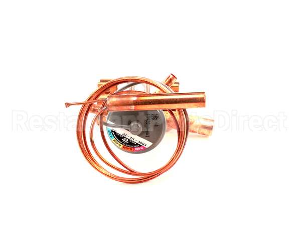 3388 Preprite Desmon Thermal Expansion Valve R300152U