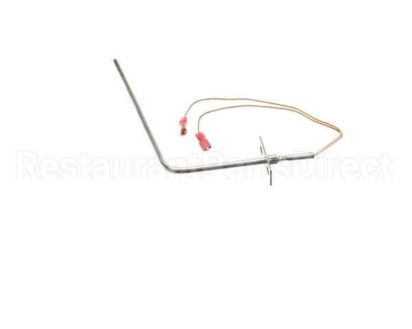 37519 Blodgett Probe, Rtd 1000 Ohm (Iq2-Pro3)