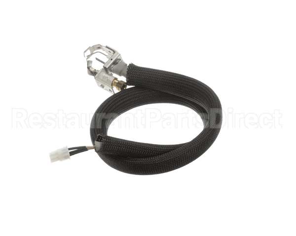 455946 Legion Pilot Burner Ignitor Sensor