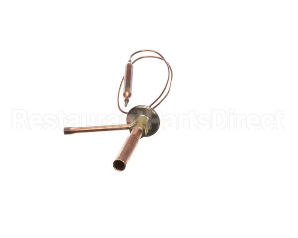 4A4619-01 Hoshizaki Expansion Valve