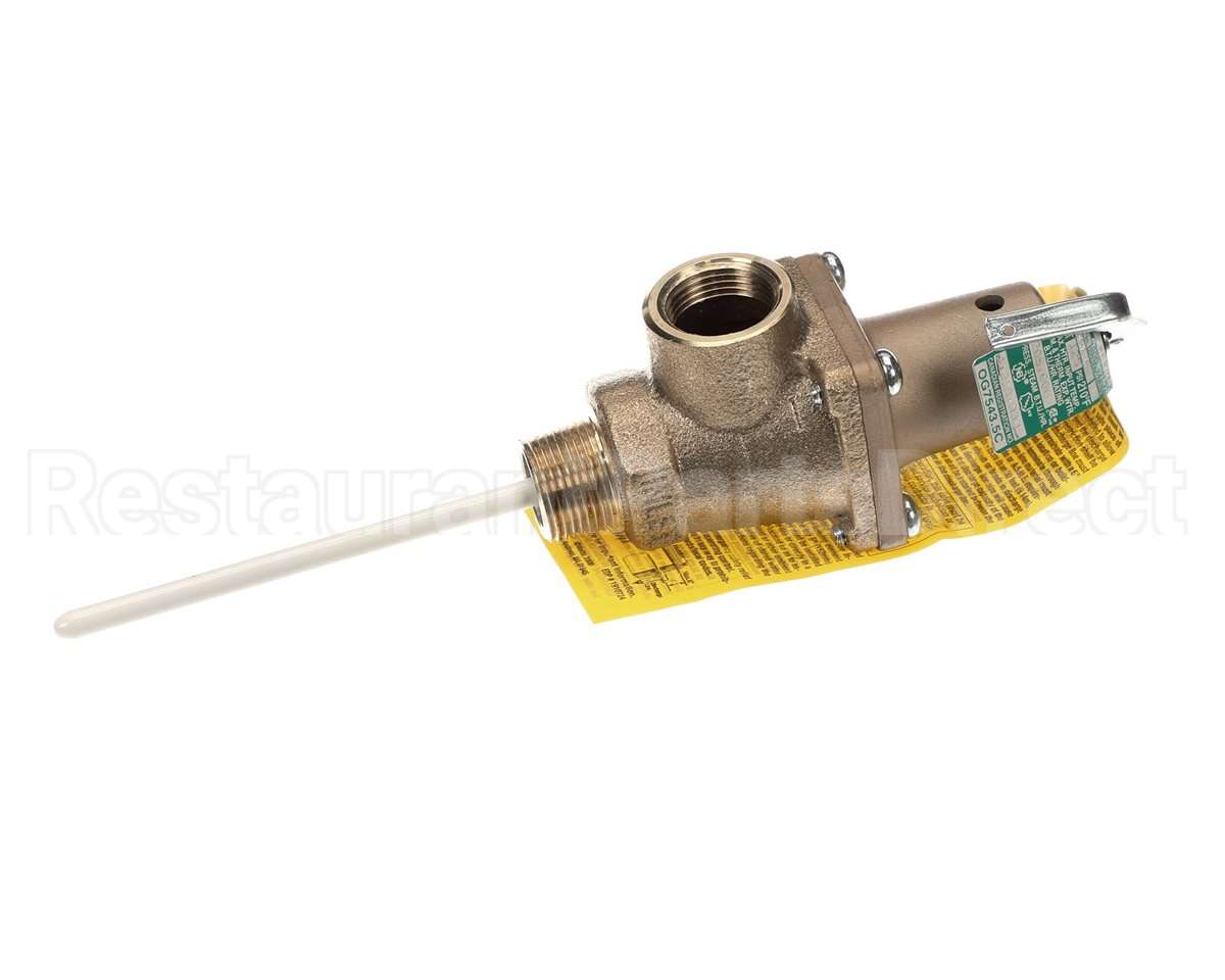 501753 Raypak Relief Valve