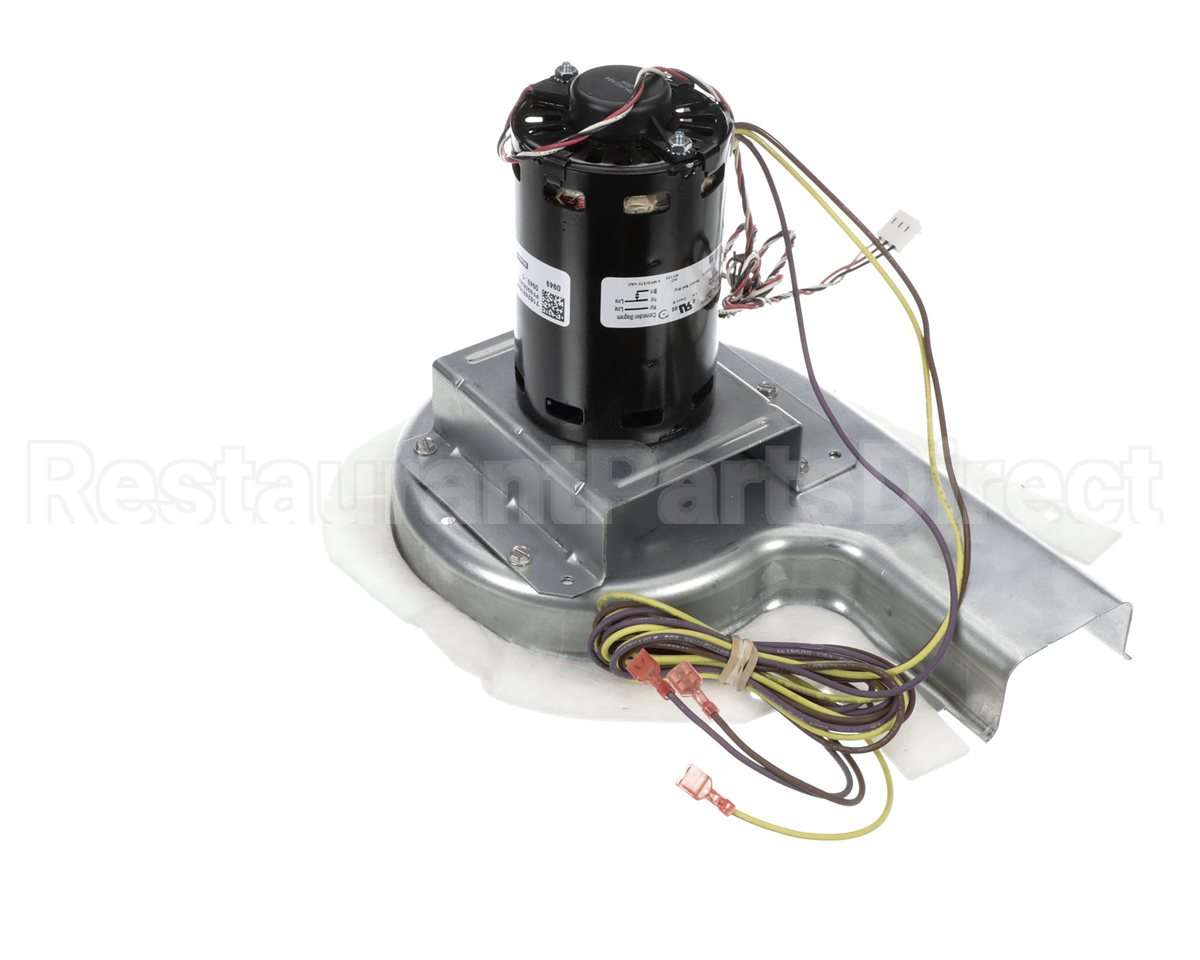 50DK406815 Bryant Payne Combustion Blower Motor