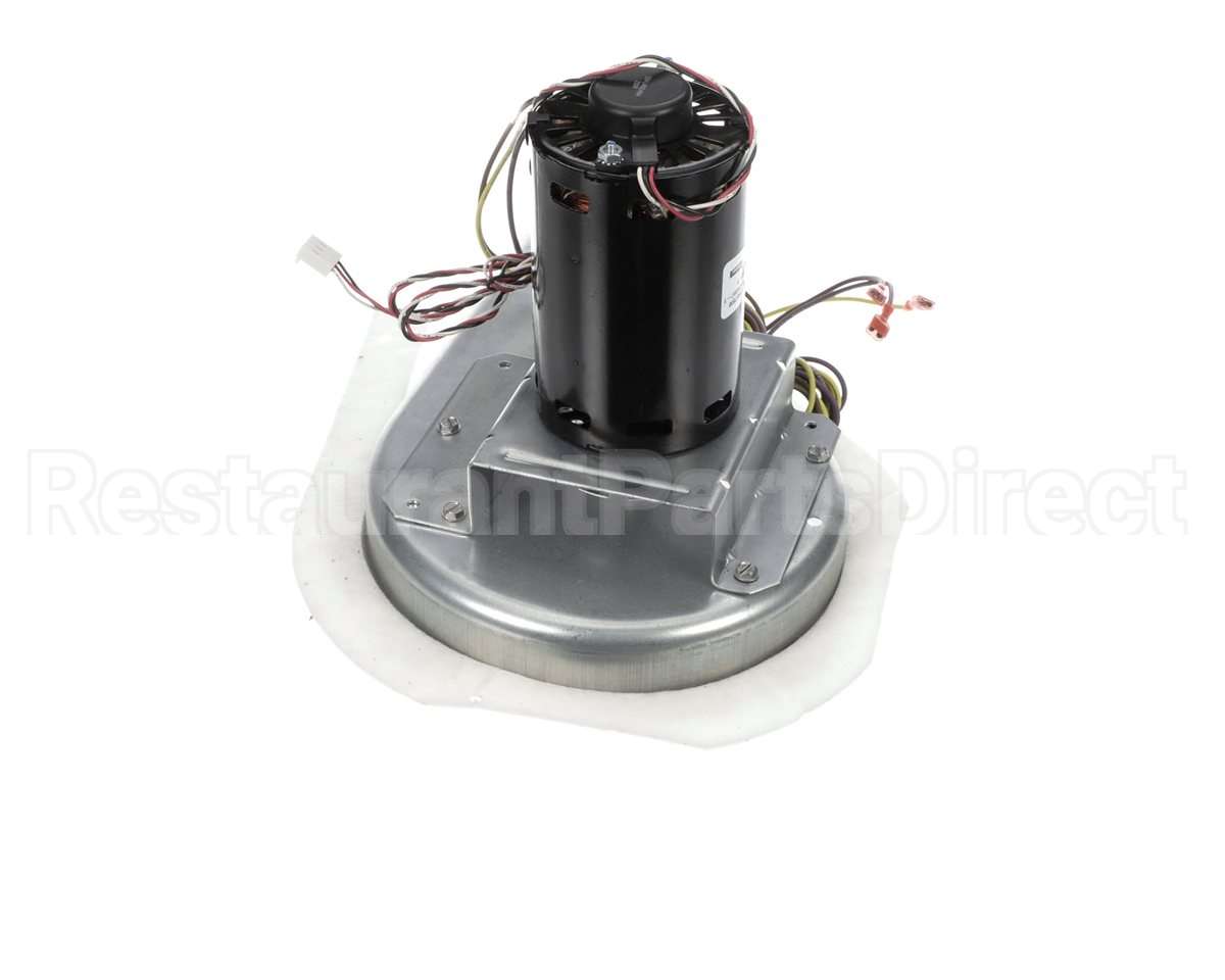 50DK406815 Bryant Payne Combustion Blower Motor