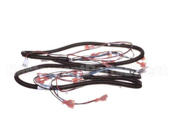 512299 Duke Harness,Proofer Lgts.&Bpr