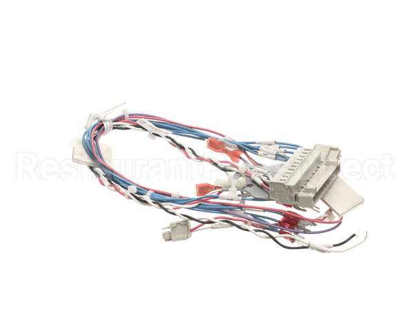 53230 Blodgett Harness,Combi Man Frt 24V
