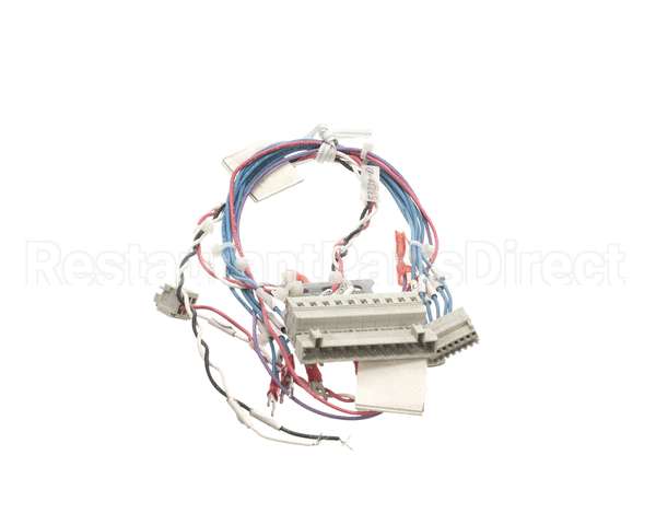 53230 Blodgett Harness,Combi Man Frt 24V