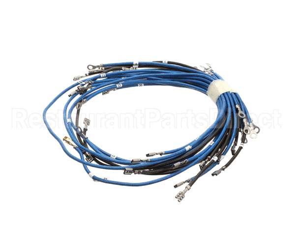 56164 Apw Wyott 4-Wire Set Term W/Term Blk