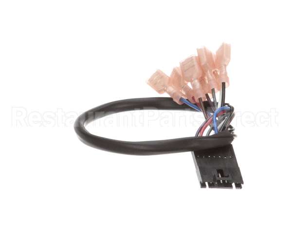 5999-004-10-49 Jackson Harness, Membrane Switch Wire