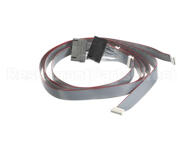 620048380 Cornelius Harness Keypad/E-Board Membrn Ada