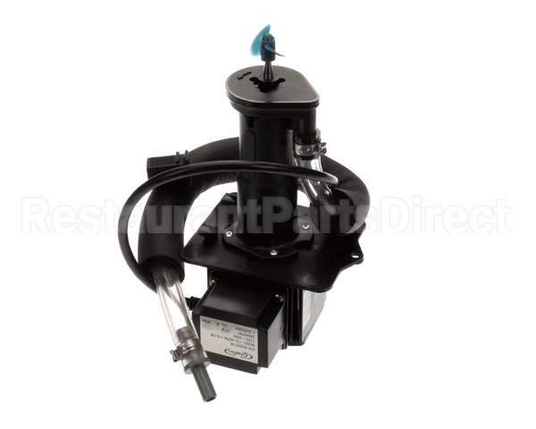 720502800 Cornelius Pump-Assembly Agit 115V