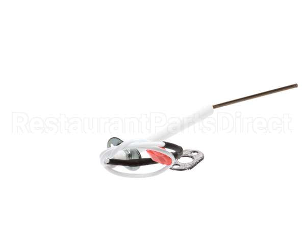 74.00.230P Rational Ignitionelectrode1 F. Hot Air
