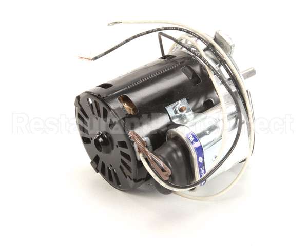 781279 Bevles 115V Motor 3000 Rpm