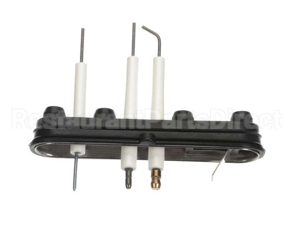 805000036 Rinnai Ignition Electrode+Gasket Oss