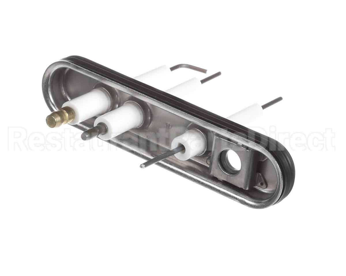 805000059 Rinnai Ignition/Electrode Assembly