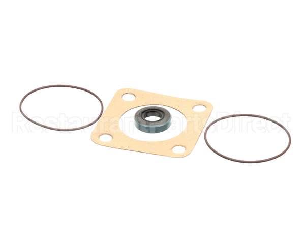 807-1197-3 Frymaster Viking Pump Seal Kit
