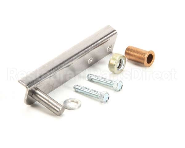 870828 TRUE Hinge Kit Door Btm Rh Gdm-5 Old Tors. Sp