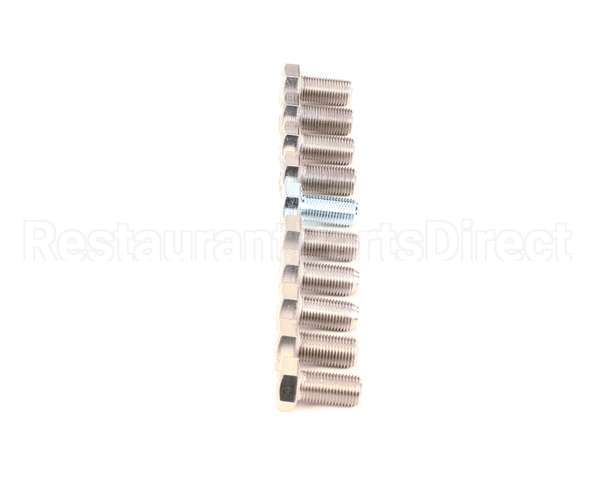 9031001-01P Ice O Matic Y 10Pk Screw Hex Hd