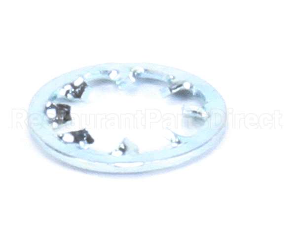962-19 Globe Lockwasher Ss Int Tooth