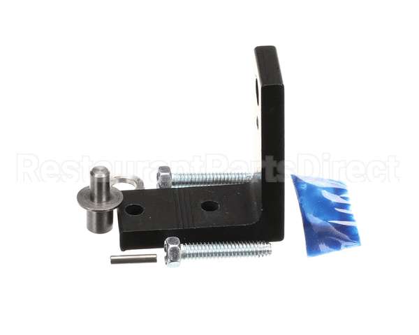 998016 TRUE Hinge Assembly Top Gdm-49F-Hctsl01