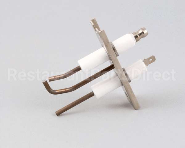 AT1E-3795 Accutemp Electrode Assembly - Evolution Gas