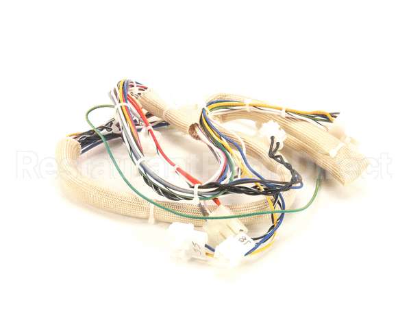 B6751101 Pitco Wiring,Spinal Tap Lower Dg