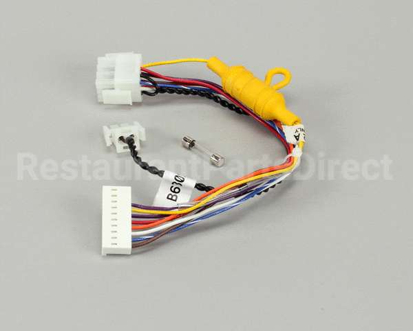 B6760301 Pitco Wiring,Rly Brd/Control Rt Fuse Mg