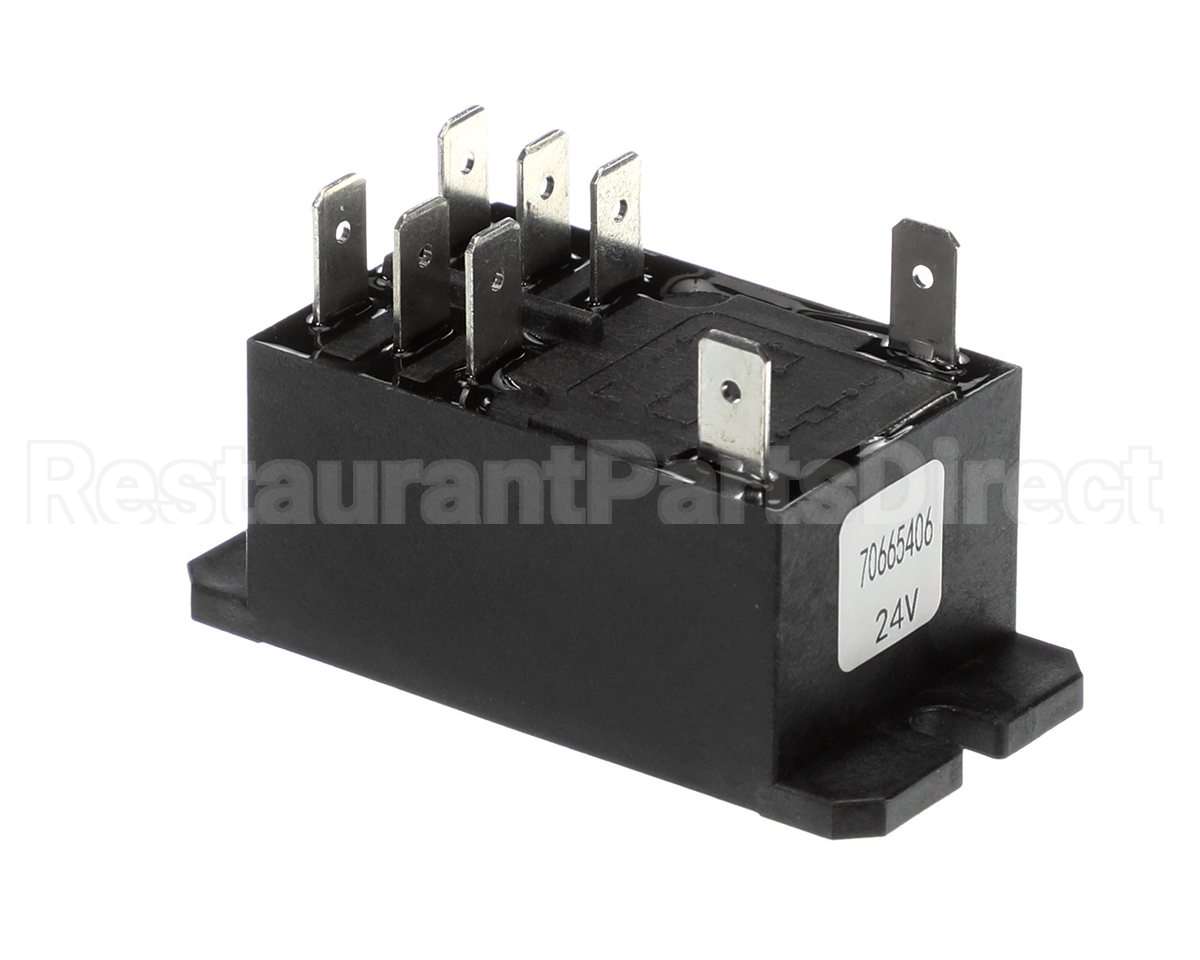 E030-70665406 Intl Environmental Corp Electrical Relay Dp 24V