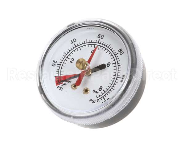EV306818 Everpure Back Mnt Brass Gauge 0-125 Psi