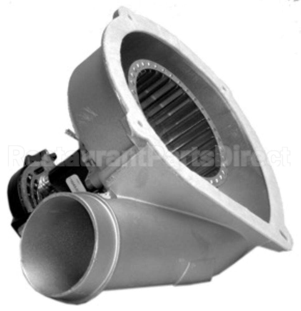 FB-RFB241 Rotom Motors