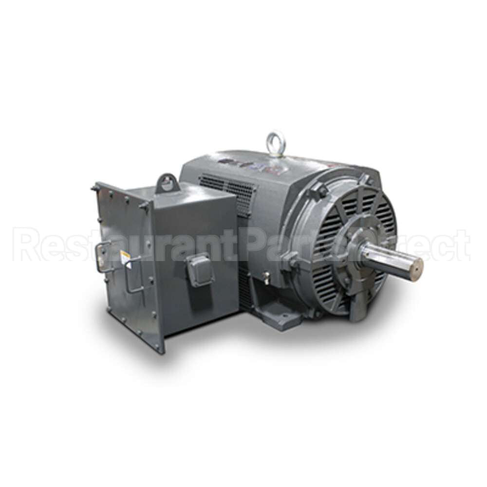 JH10006 Teco Medium Voltage Motor