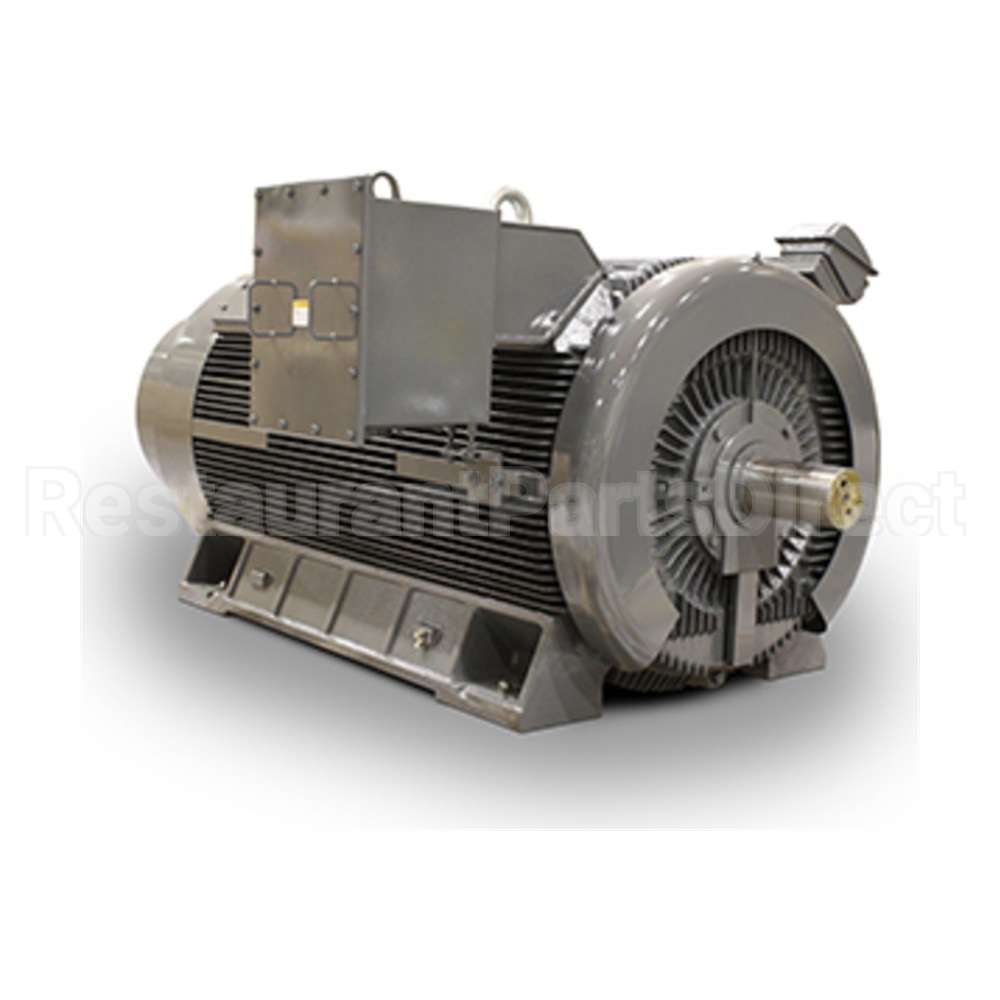 KG2006 Teco Medium Voltage Motor